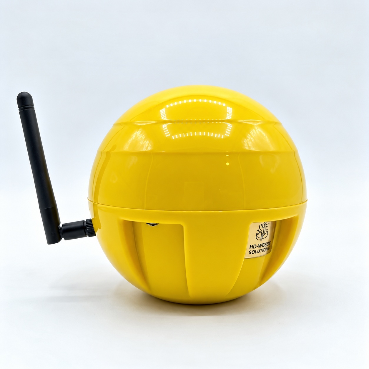 SW Direction Globe