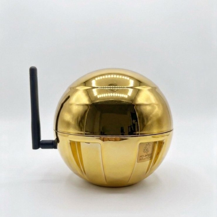 Swadhisthana Chakra Globe